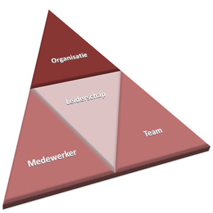 Impactris: impact op niveaus